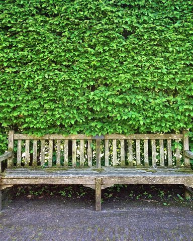 Terrace bench